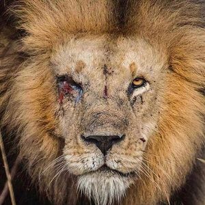 Meet your Posher, Don